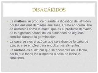 DISACÁRIDOS
• La maltosa se produce durante la digestión del almidón
por las enzimas llamadas amilasas. Existe en forma libre
en alimentos como la malta, que es el producto derivado
de la digestión parcial de los almidones de algunas
semillas durante la germinación.
• La sacarosa es el azúcar que se extrae de la caña de
azúcar, y se emplea para endulzar los alimentos.
• La lactosa es el azúcar que se encuentra en la leche,
por lo que todos los alimentos a base de leche la
contienen.
 