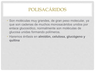 POLISACÁRIDOS
• Son moléculas muy grandes, de gran peso molecular, ya
que son cadenas de muchos monosacáridos unidos por
enlace glucosídico, normalmente son moléculas de
glucosa unidas formando polímeros.
• Haremos énfasis en almidón, celulosa, glucógeno y
quitina
 