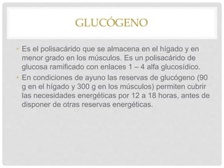 GLUCÓGENO
• Es el polisacárido que se almacena en el hígado y en
menor grado en los músculos. Es un polisacárido de
glucosa ramificado con enlaces 1 – 4 alfa glucosídico.
• En condiciones de ayuno las reservas de glucógeno (90
g en el hígado y 300 g en los músculos) permiten cubrir
las necesidades energéticas por 12 a 18 horas, antes de
disponer de otras reservas energéticas.
 