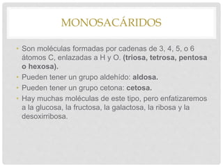 MONOSACÁRIDOS
• Son moléculas formadas por cadenas de 3, 4, 5, o 6
átomos C, enlazadas a H y O. (triosa, tetrosa, pentosa
o hexosa).
• Pueden tener un grupo aldehído: aldosa.
• Pueden tener un grupo cetona: cetosa.
• Hay muchas moléculas de este tipo, pero enfatizaremos
a la glucosa, la fructosa, la galactosa, la ribosa y la
desoxirribosa.
 