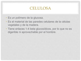 CELULOSA
• Es un polímero de la glucosa.
• Es el material de las paredes celulares de la células
vegetales y de la madera.
• Tiene enlaces 1-4 beta glucosídicos, por lo que no es
digerible ni aprovechable por el hombre.
 