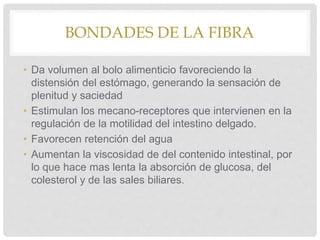 BONDADES DE LA FIBRA
• Da volumen al bolo alimenticio favoreciendo la
distensión del estómago, generando la sensación de
plenitud y saciedad
• Estimulan los mecano-receptores que intervienen en la
regulación de la motilidad del intestino delgado.
• Favorecen retención del agua
• Aumentan la viscosidad de del contenido intestinal, por
lo que hace mas lenta la absorción de glucosa, del
colesterol y de las sales biliares.
 