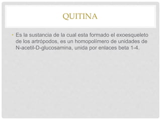 QUITINA
• Es la sustancia de la cual esta formado el exoesqueleto
de los artrópodos, es un homopolímero de unidades de
N-acetil-D-glucosamina, unida por enlaces beta 1-4.
 