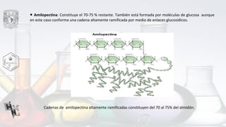 ● Amilopectina: Constituye el 70-75 % restante. También está formada por moléculas de glucosa aunque
en este caso conforma una cadena altamente ramificada por medio de enlaces glucosídicos.
Cadenas de amilopectina altamente ramificadas constituyen del 70 al 75% del almidón.
 