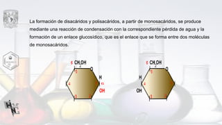 La formación de disacáridos y polisacáridos, a partir de monosacáridos, se produce
mediante una reacción de condensación con la correspondiente pérdida de agua y la
formación de un enlace glucosídico, que es el enlace que se forma entre dos moléculas
de monosacáridos.
 