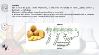 Almidón:
son cadenas de glucosa unidas linealmente, se encuentra almacenado en plantas, granos, semillas y
tubérculos como la papa.
El almidón está formado por dos polímeros de diferente estructura:
● Amilosa: Son cadenas formadas por moléculas de glucosa unidas mediante enlaces glucosídicos, Adoptan
una disposición helicoidal, suelen constituir del 25 al 30 % del almidón.
 