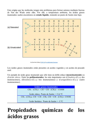 Esto origina que las moléculas tengan más problemas para formar uniones mediante fuerzas
de Van der Waals entre ellas. Por ello, a temperatura ambiente, los ácidos grasos
insaturados suelen encontrarse en estado líquido, teniendo un punto de fusión más bajo.
By OpenStax College [CC BY 3.0], via Wikimedia Commons
Los ácidos grasos insaturados están presentes en aceites vegetales y en aceites de pescado
azul.
Un ejemplo de ácido graso insaturado que sólo tiene un doble enlace (monoinsaturado) es
el ácido oleico. Entre los poliinsaturados, los más importantes son el linoleico (C18 y dos
insaturaciones), ellinolénico (C18 y tres insaturaciones) y el araquidónico (C20 y cuatro
insaturaciones).
Ácidos grasos insaturados
CH3 - (CH2)7 - CH = CH - (CH2)7 - COOH
Ácido oleico. Punto de fusión = 13,4 ºC
CH3 - (CH2)4- CH = CH - CH2- CH = CH - (CH2)7- COOH
Ácido linoleico. Punto de fusión = -5 ºC
Propiedades químicas de los
ácidos grasos
 