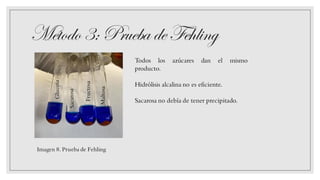Método3: Prueba de Fehling
Imagen 8. Prueba de Fehling
Todos los azúcares dan el mismo
producto.
Hidrólisis alcalina no es eficiente.
Sacarosa no debía de tener precipitado.
Fructosa
Maltosa
 