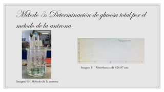 Método 5:Determinación deglucosa totalpor el
método delaantrona
Imagen 10 . Método de la antrona
Imagen 11 .Absorbancia de 626.87 nm
50,000
 