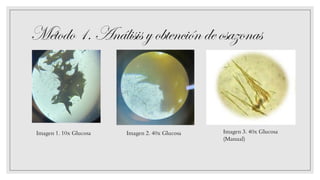 Método 1.Análisis yobtención deosazonas
Imagen 1. 10x Glucosa Imagen 2. 40x Glucosa Imagen 3. 40x Glucosa
(Manual)
 