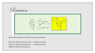 Reacción
Reacción usada para identificar monosacáridos.
Fructosa (Azúcar Reductor)--->Monosacárido
Glucosa (Azúcar Reductor)---->Monosacárido
Maltosa (Azúcar Reductor)
 