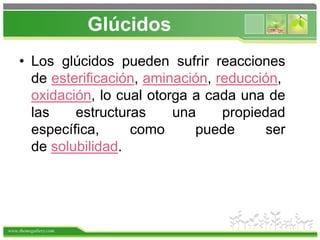 www.themegallery.com
Glúcidos
• Los glúcidos pueden sufrir reacciones
de esterificación, aminación, reducción,
oxidación, lo cual otorga a cada una de
las estructuras una propiedad
específica, como puede ser
de solubilidad.
 