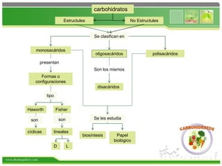 www.themegallery.com
carbohidratos
Se clasifican en
monosacáridos
oligosacáridos polisacáridos
disacáridos
Formas o
configuraciones
tipo
Haworth Fisher
cíclicas lineales
D L
Son los mismos
presentan
son son Se les estudia
biosíntesis Papel
biológico
Estructules No Estructules
 