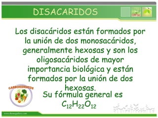 www.themegallery.com
DISACARIDOS
Los disacáridos están formados por
la unión de dos monosacáridos,
generalmente hexosas y son los
oligosacáridos de mayor
importancia biológica y están
formados por la unión de dos
hexosas.
Su fórmula general es
C12H22O12
 