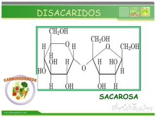 www.themegallery.com
DISACARIDOS
SACAROSA
 
