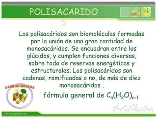 www.themegallery.com
POLISACARIDO
S
fórmula general de Cn(H2O)n-1
Los polisacáridos son biomoléculas formadas
por la unión de una gran cantidad de
monosacáridos. Se encuadran entre los
glúcidos, y cumplen funciones diversas,
sobre todo de reservas energéticas y
estructurales. Los polisacáridos son
cadenas, ramificadas o no, de más de diez
monosacáridos .
 