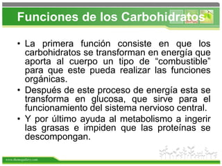 www.themegallery.com
Funciones de los Carbohidratos
• La primera función consiste en que los
carbohidratos se transforman en energía que
aporta al cuerpo un tipo de “combustible”
para que este pueda realizar las funciones
orgánicas.
• Después de este proceso de energía esta se
transforma en glucosa, que sirve para el
funcionamiento del sistema nervioso central.
• Y por último ayuda al metabolismo a ingerir
las grasas e impiden que las proteínas se
descompongan.
 