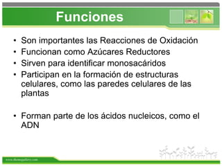 www.themegallery.com
Funciones
• Son importantes las Reacciones de Oxidación
• Funcionan como Azúcares Reductores
• Sirven para identificar monosacáridos
• Participan en la formación de estructuras
celulares, como las paredes celulares de las
plantas
• Forman parte de los ácidos nucleicos, como el
ADN
 