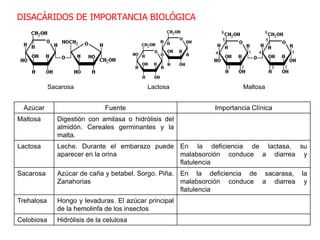 Azúcar Fuente Importancia Clínica
Maltosa Digestión con amilasa o hidrólisis del
almidón. Cereales germinantes y la
malta.
Lactosa Leche. Durante el embarazo puede
aparecer en la orina
En la deficiencia de lactasa, su
malabsorción conduce a diarrea y
flatulencia
Sacarosa Azúcar de caña y betabel. Sorgo. Piña.
Zanahorias
En la deficiencia de sacarasa, la
malabsorción conduce a diarrea y
flatulencia
Trehalosa Hongo y levaduras. El azúcar principal
de la hemolinfa de los insectos
Celobiosa Hidrólisis de la celulosa
DISACÁRIDOS DE IMPORTANCIA BIOLÓGICA
Sacarosa Lactosa Maltosa
 