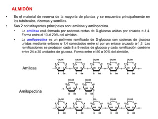ALMIDÓN
• Es el material de reserva de la mayoría de plantas y se encuentra principalmente en
los tubérculos, rizomas y semillas.
• Sus 2 constituyentes principales son: amilosa y amilopectina.
• La amilosa está formada por cadenas rectas de D-glucosa unidas por enlaces α-1,4.
Forma entre el 10 al 20% del almidón.
• La amilopectina es un polímero ramificado de D-glucosa con cadenas de glucosa
unidas mediante enlaces α-1,4 conectados entre si por un enlace cruzado α-1,6. Las
ramificaciones se producen cada 8 a 9 restos de glucosa y cada ramificación contiene
entre 24 a 30 unidades de glucosa. Forma entre el 80 a 90% del almidón.
Amilopectina
Amilosa
 