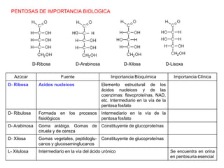 PENTOSAS DE IMPORTANCIA BIOLOGICA
Azúcar Fuente Importancia Bioquímica Importancia Clínica
D- Ribosa Acidos nucleicos Elemento estructural de los
ácidos nucleicos y de las
coenzimas: flavoproteínas, NAD,
etc. Intermediario en la vía de la
pentosa fosfato
D- Ribulosa Formada en los procesos
fisiológicos
Intermediario en la vía de la
pentosa fosfato
D- Arabinosa Goma arábiga. Gomas de
ciruela y de cereza
Constituyente de glucoproteínas
D- Xilosa Gomas vegetales, peptidoglu-
canos y glucosaminglucanos
Constituyente de glucoproteínas
L- Xilulosa Intermediario en la vía del ácido urónico Se encuentra en orina
en pentosuria esencial
H
HO
D-Ribosa D-Arabinosa D-Xilosa D-Lisoxa
 