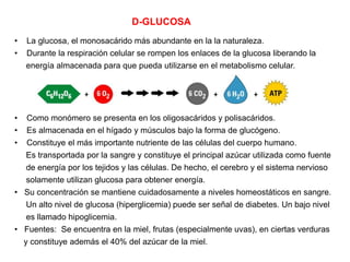 D-GLUCOSA
• La glucosa, el monosacárido más abundante en la la naturaleza.
• Durante la respiración celular se rompen los enlaces de la glucosa liberando la
energía almacenada para que pueda utilizarse en el metabolismo celular.
• Como monómero se presenta en los oligosacáridos y polisacáridos.
• Es almacenada en el hígado y músculos bajo la forma de glucógeno.
• Constituye el más importante nutriente de las células del cuerpo humano.
Es transportada por la sangre y constituye el principal azúcar utilizada como fuente
de energía por los tejidos y las células. De hecho, el cerebro y el sistema nervioso
solamente utilizan glucosa para obtener energía.
• Su concentración se mantiene cuidadosamente a niveles homeostáticos en sangre.
Un alto nivel de glucosa (hiperglicemia) puede ser señal de diabetes. Un bajo nivel
es llamado hipoglicemia.
• Fuentes: Se encuentra en la miel, frutas (especialmente uvas), en ciertas verduras
y constituye además el 40% del azúcar de la miel.
 
