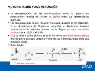 MUTARROTACIÓN Y ANOMERIZACIÓN
▪ La representación de los monosacáridos como la glucosa en
proyecciones lineales de Fischer...