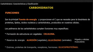 Lípidos y aminoácidos
gliceraldehido
 
