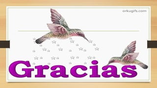 CARBOHIDRATOS , FUNCIONES, IMPORTANCIA S