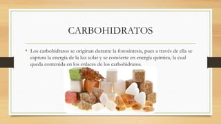 • Los carbohidratos se originan durante la fotosíntesis, pues a través de ella se
captura la energía de la luz solar y se convierte en energía química, la cual
queda contenida en los enlaces de los carbohidratos.
CARBOHIDRATOS
 