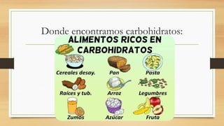 Donde encontramos carbohidratos:
 