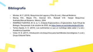 Carbohidratos, su estructura y función a nivel molecular | PDF