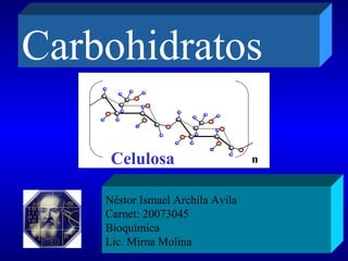 Carbohidratos

     Celulosa                     n


    Néstor Ismael Archila Avila
    Carnet: 20073045
    Bioquímica
    Lic. Mirna Molina
 