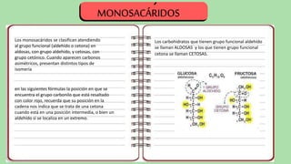Los monosacáridos se clasifican atendiendo
al grupo funcional (aldehído o cetona) en
aldosas, con grupo aldehído, y cetosas, con
grupo cetónico. Cuando aparecen carbonos
asimétricos, presentan distintos tipos de
isomería
en las siguientes fórmulas la posición en que se
encuentra el grupo carbonilo que está resaltado
con color rojo, recuerda que su posición en la
cadena nos indica que se trata de una cetona
cuando está en una posición intermedia, o bien un
aldehído si se localiza en un extremo.
Los carbohidratos que tienen grupo funcional aldehído
se llaman ALDOSAS y los que tienen grupo funcional
cetona se llaman CETOSAS.
MONOSACÁRIDOS
´
 