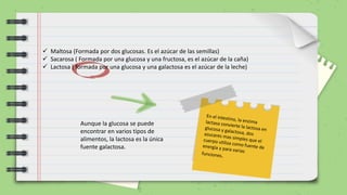  Maltosa (Formada por dos glucosas. Es el azúcar de las semillas)
 Sacarosa ( Formada por una glucosa y una fructosa, es el azúcar de la caña)
 Lactosa ( formada por una glucosa y una galactosa es el azúcar de la leche)
Aunque la glucosa se puede
encontrar en varios tipos de
alimentos, la lactosa es la única
fuente galactosa.
 
