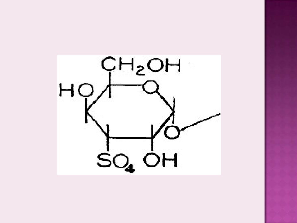 Carbohidratos estructura (2)