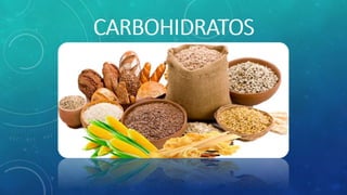 Carbohidratos (Clasificación y Función) -M.Y.M.F.