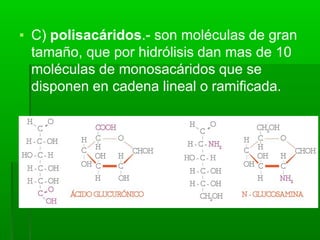 ▪ C) polisacáridos.- son moléculas de gran
tamaño, que por hidrólisis dan mas de 10
moléculas de monosacáridos que se
disponen en cadena lineal o ramificada.
 