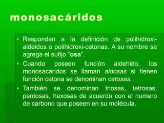 monosacáridos
▪ Responden a la definición de polihidroxi-
aldeidos o polihidroxi-cetonas. A su nombre se
agrega el sufijo “osa”.
▪ Cuando poseen función aldehido, los
monosacaridos se llaman aldosas si tienen
función cetona se denominan cetosas.
▪ También se denominan triosas, tetrosas,
pentosas, hexosas de acuerdo con el numero
de carbono que poseen en su molécula.
 