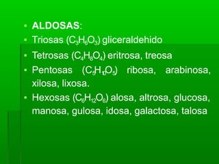 ▪ ALDOSAS:
▪ Triosas (C3H6O3) gliceraldehido
▪ Tetrosas (C4H8O4) eritrosa, treosa
▪ Pentosas (C5
H1
0
O5
) ribosa, arabinosa,
xilosa, lixosa.
▪ Hexosas (C6H12O6) alosa, altrosa, glucosa,
manosa, gulosa, idosa, galactosa, talosa
 