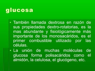 glucosa
▪ También llamada dextrosa en razón de
sus propiedades dextro-rotatorias, es la
mas abundante y fisiológicamente más
importante de los monosacáridos, es el
primer combustible utilizado por las
células.
glucosa forma polisacáridos como
▪ La unión de muchas moléculas de
el
almidón, la celulosa, el glucógeno, etc.
 