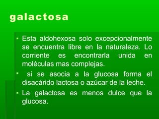 galactosa
▪ Esta aldohexosa solo excepcionalmente
se encuentra libre en la naturaleza. Lo
corriente es encontrarla unida en
moléculas mas complejas.
▪ si se asocia a la glucosa forma el
disacárido lactosa o azúcar de la leche.
▪ La galactosa es menos dulce que la
glucosa.
 