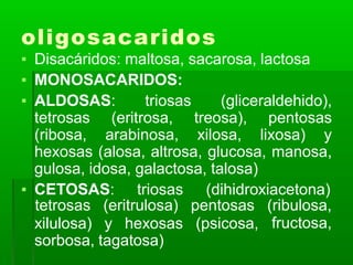 oligosacaridos
▪ Disacáridos: maltosa, sacarosa, lactosa
▪ MONOSACARIDOS:
▪ ALDOSAS: triosas (gliceraldehido),
tetrosas (eritrosa, treosa), pentosas
(ribosa, arabinosa, xilosa, lixosa) y
hexosas (alosa, altrosa, glucosa, manosa,
gulosa, idosa, galactosa, talosa)
▪ CETOSAS: triosas (dihidroxiacetona)
xilulosa) y hexosas (psicosa,
tetrosas (eritrulosa) pentosas (ribulosa,
fructosa,
sorbosa, tagatosa)
 