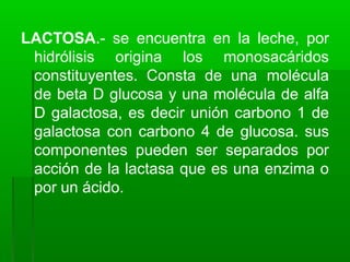 LACTOSA.- se encuentra en la leche, por
hidrólisis origina los monosacáridos
constituyentes. Consta de una molécula
de beta D glucosa y una molécula de alfa
D galactosa, es decir unión carbono 1 de
galactosa con carbono 4 de glucosa. sus
componentes pueden ser separados por
acción de la lactasa que es una enzima o
por un ácido.
 
