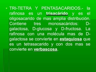 ▪ TRI-TETRA Y
rafinosa es un trisacárido y es
PENTASACARIDOS.- la
el
oligosacarido de mas amplia distribución.
Contiene tres monosacáridos: D-
galactosa, D-glucosa y D-fructosa. La
rafinosa con una molécula mas de D-
galactosa se convierte en estaquiosa que
es un tetrasacarido y con dos mas se
convierte en verbascosa.
 