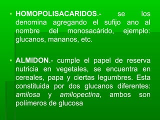 ▪ HOMOPOLISACARIDOS.- se
sufijo
los
ano al
denomina agregando el
nombre del monosacárido, ejemplo:
glucanos, mananos, etc.
▪ ALMIDON.- cumple el papel de reserva
nutricia en vegetales, se encuentra en
cereales, papa y ciertas legumbres. Esta
constituida por dos glucanos diferentes:
amilosa y amilopectina, ambos son
polímeros de glucosa
 