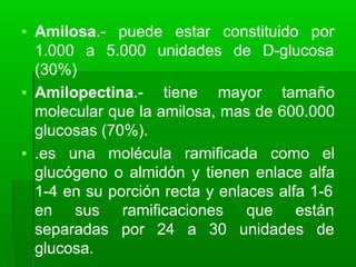 constituido por
puede estar
5.000 unidades de D-glucosa
▪ Amilosa.-
1.000 a
(30%)
▪ Amilopectina.- tiene mayor tamaño
molecular que la amilosa, mas de 600.000
glucosas (70%).
▪ .es una molécula ramificada como el
glucógeno o almidón y tienen enlace alfa
1-4 en su porción recta y enlaces alfa 1-6
ramificaciones
por 24 a 30
que están
unidades de
en sus
separadas
glucosa.
 
