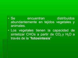 ▪ Se encuentran distribuidos
abundantemente en tejidos vegetales y
animales.
▪ Los vegetales tienen la capacidad de
sintetizar CHOs a partir de CO2 y H2O a
través de la “fotosíntesis”
 