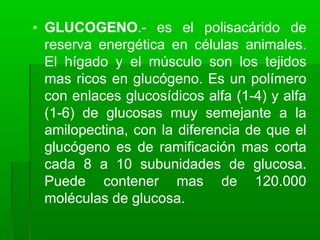 ▪ GLUCOGENO.- es el polisacárido de
reserva energética en células animales.
El hígado y el músculo son los tejidos
mas ricos en glucógeno. Es un polímero
con enlaces glucosídicos alfa (1-4) y alfa
(1-6) de glucosas muy semejante a la
amilopectina, con la diferencia de que el
glucógeno es de ramificación mas corta
cada 8 a 10 subunidades de glucosa.
Puede contener mas de 120.000
moléculas de glucosa.
 