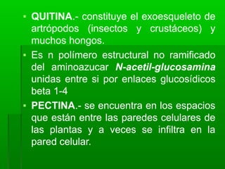 ▪ QUITINA.- constituye el exoesqueleto de
artrópodos (insectos y crustáceos) y
muchos hongos.
▪ Es n polímero estructural no ramificado
del aminoazucar N-acetil-glucosamina
unidas entre si por enlaces glucosídicos
beta 1-4
▪ PECTINA.- se encuentra en los espacios
que están entre las paredes celulares de
las plantas y a veces se infiltra en la
pared celular.
 